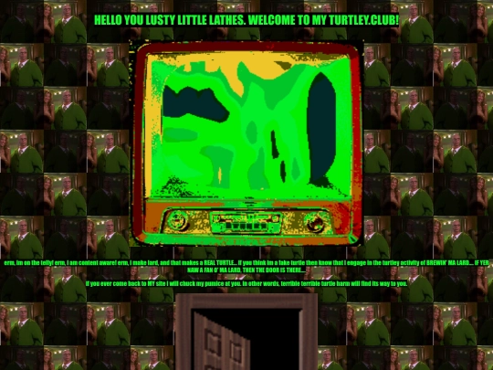turtle screenshot
