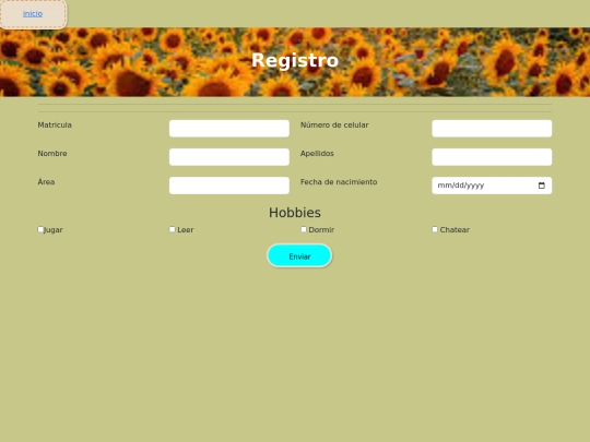 html/formulario screenshot