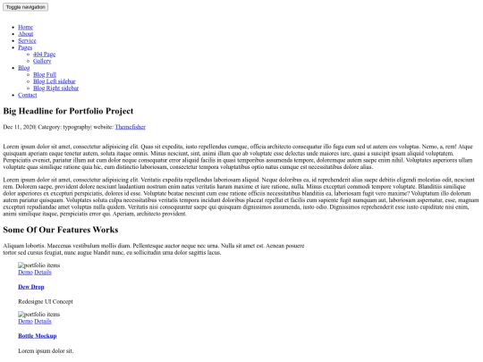 single-portfolio screenshot
