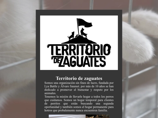 cuido screenshot