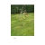 monpetitjardin.yorniq.xyz avatar