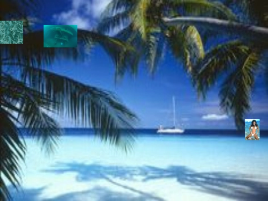 beach screenshot
