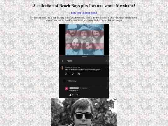 library/beachboys screenshot