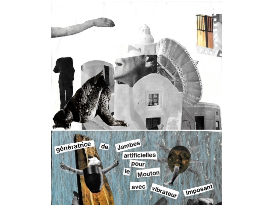 Collage screenshot
