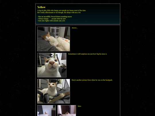 cat/yellow screenshot