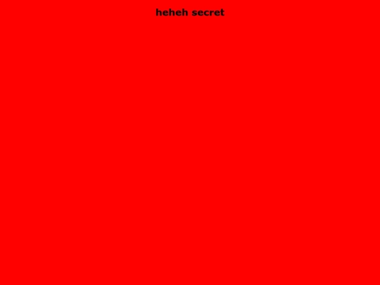 nonsecretsecret screenshot