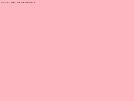 project screenshot