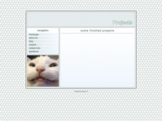 projects screenshot