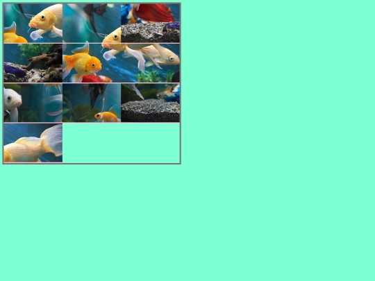 fishpuzzle screenshot