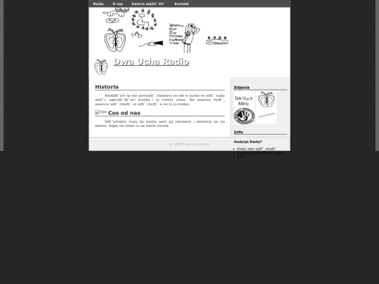 o-firmie screenshot