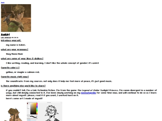 webmaster/kokiri screenshot