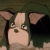 iggy avatar