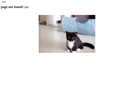 old/not_found screenshot