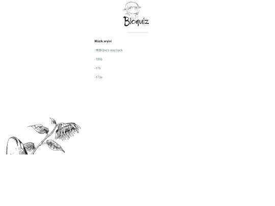 bgm screenshot