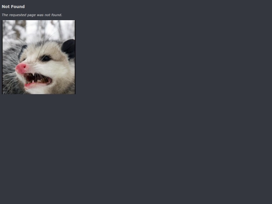 not_found screenshot