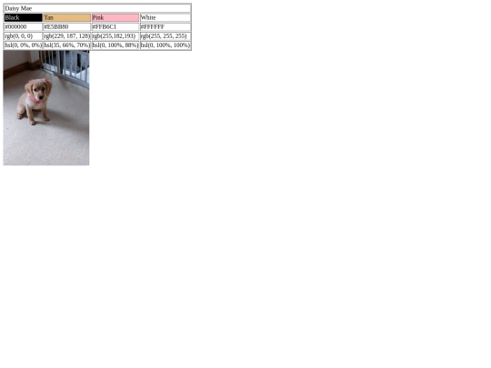 coloringdaisy screenshot