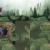 tillis-stuff.yorniq.xyz avatar