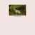 ☼ jackalope ! avatar