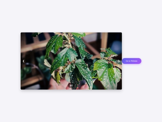 test/test screenshot