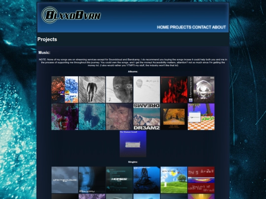 projects screenshot