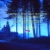 feralzzz.yorniq.xyz avatar