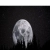 user5872.yorniq.xyz avatar