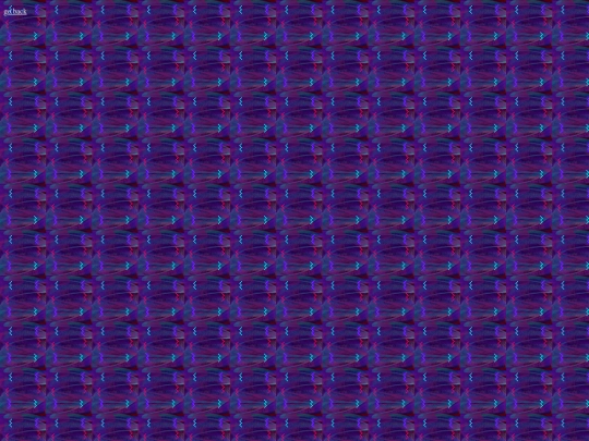 NexusPKMN screenshot