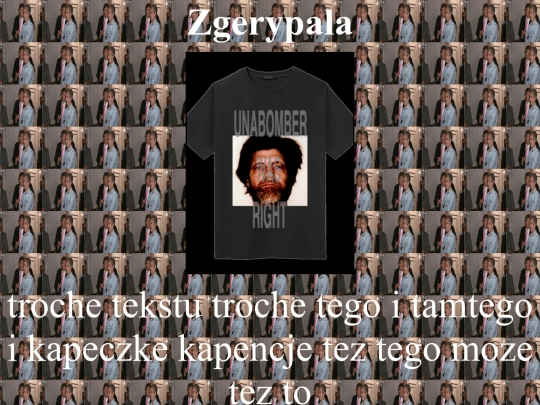 coolteeepsbomber screenshot