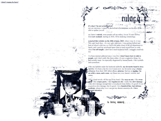 webmaster screenshot