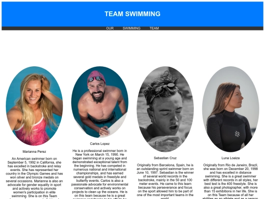 Teampage screenshot