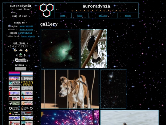gallery screenshot