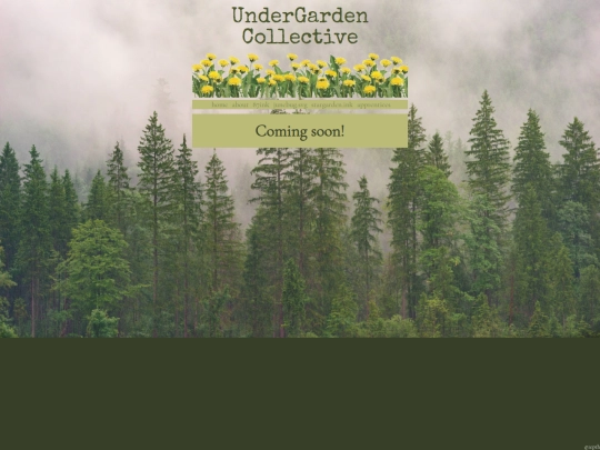 stargardenink screenshot