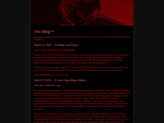 blog screenshot