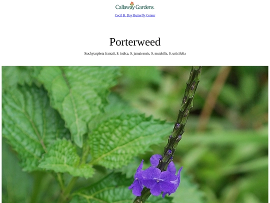 porterweed screenshot