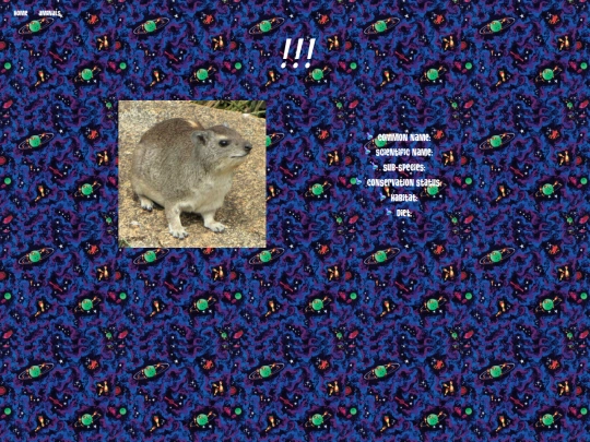 pages/aminals/template screenshot