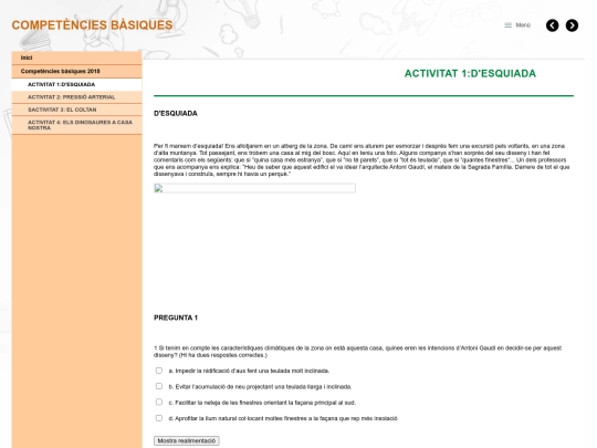 competencies/activitat_1desquiada screenshot