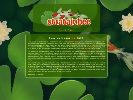 projects/magazine screenshot