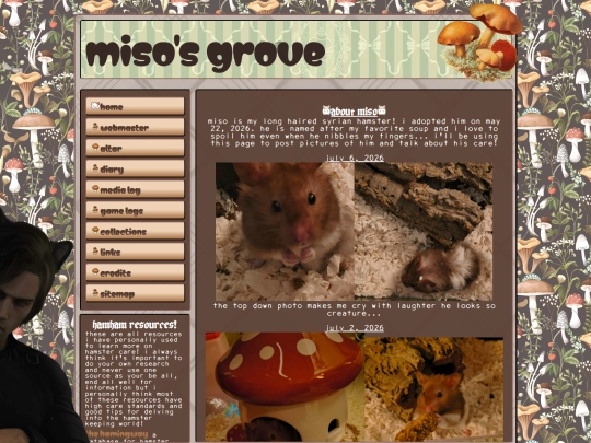miso screenshot