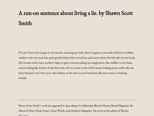 a-run-on-sentence-about-living-a-lie-by-shawn-scott-smith screenshot