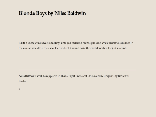 blonde-boys-by-niles-baldwin screenshot