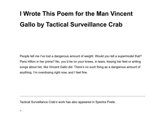 i-wrote-this-poem-for-the-man-vincent-gallo-by-tactical-surveillance-crab screenshot