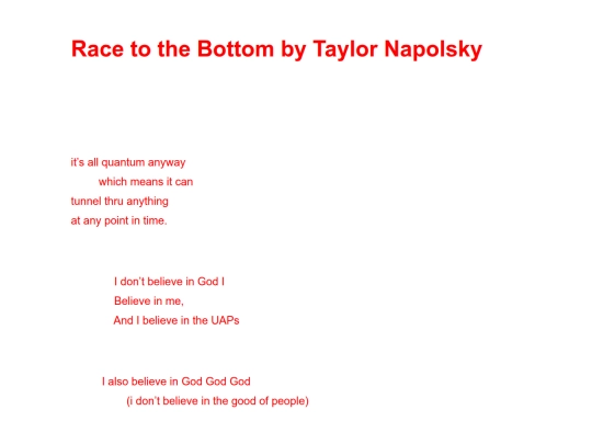 race-to-the-bottom-by-taylor-napolsky screenshot
