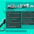 aquasine.yorniq.xyz avatar