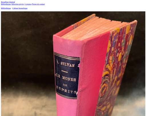 livres/irmin-sylvain-le-monde-des-esprits screenshot