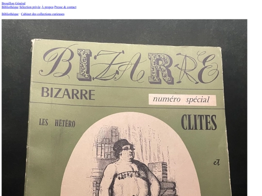 livres/revue-bizarre-no4-heteroclites-fous-litteraires screenshot