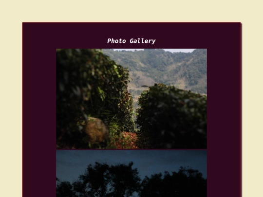 photos screenshot