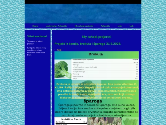 Projects/projects screenshot