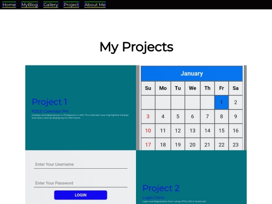 project screenshot