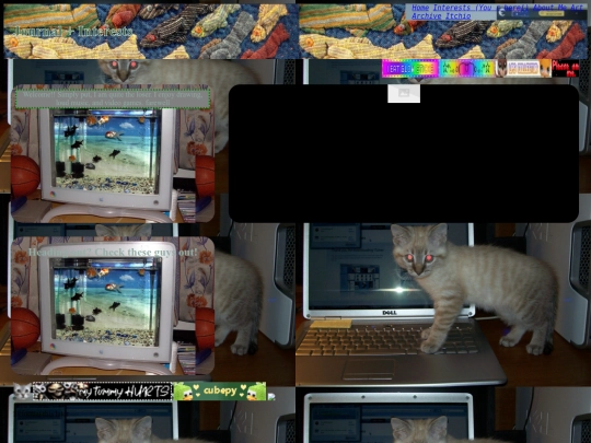 about screenshot