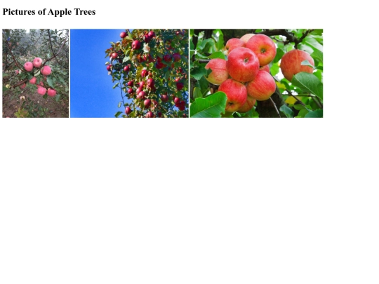 copyrightProject screenshot